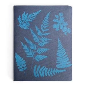 Detente, Instante. Una historia de la fotografía | VV.AA.