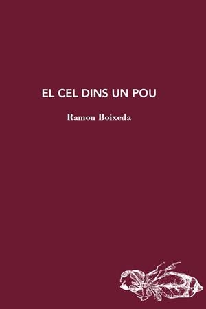 El cel dins un pou | Boixeda, Ramon | Cooperativa autogestionària