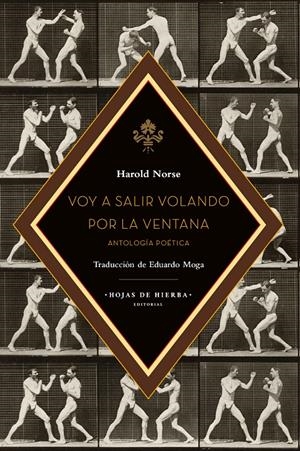 Voy a salir volando por la ventana | HAROLD NORSE | Cooperativa autogestionària