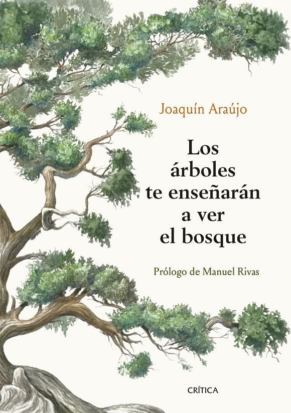 Los árboles te enseñarán a ver el bosque | Araújo, Joaquín | Cooperativa autogestionària