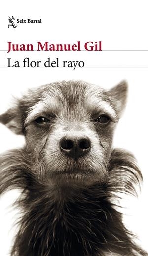 La flor del rayo | Gil, Juan Manuel | Cooperativa autogestionària