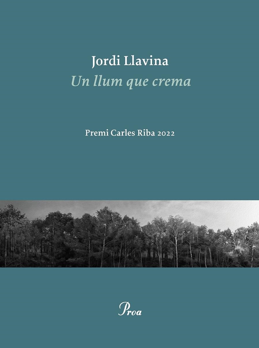 Un llum que crema | Llavina, Jordi | Cooperativa autogestionària