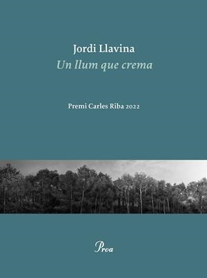 Un llum que crema | Llavina, Jordi | Cooperativa autogestionària