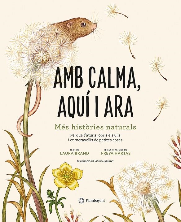 Amb calma, aquí i ara | Brand, Laura | Cooperativa autogestionària