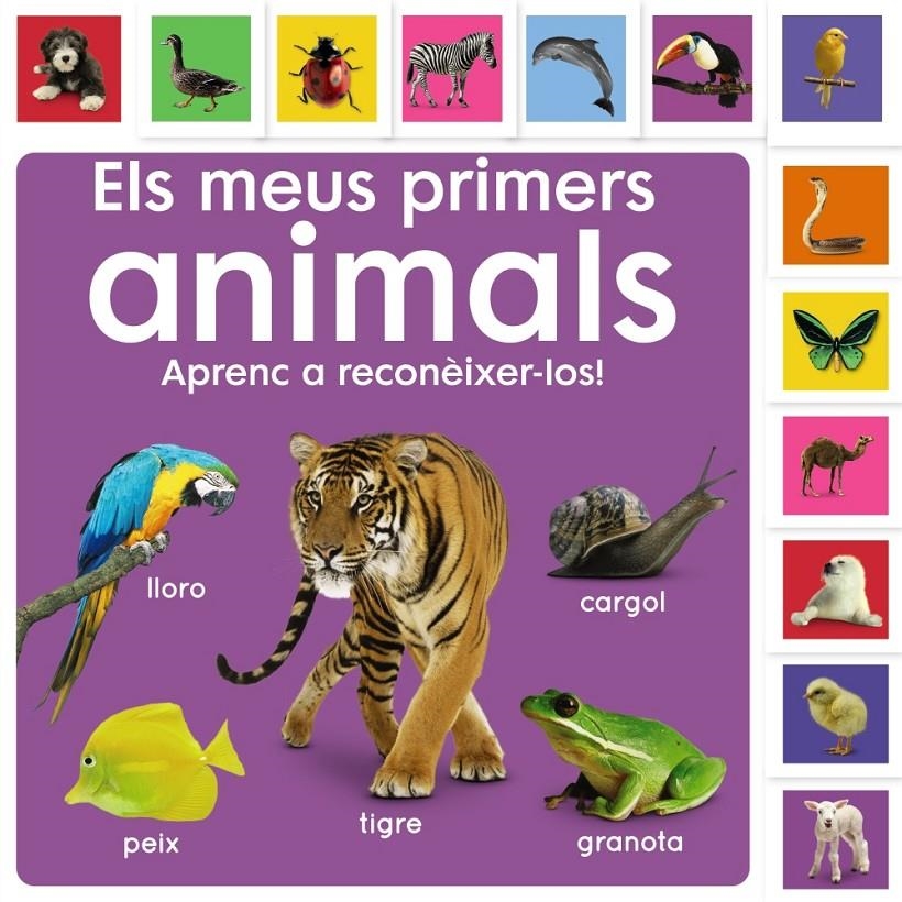 Els meus primers animals. Aprenc a reconèixer-los! | Sirett, Dawn
