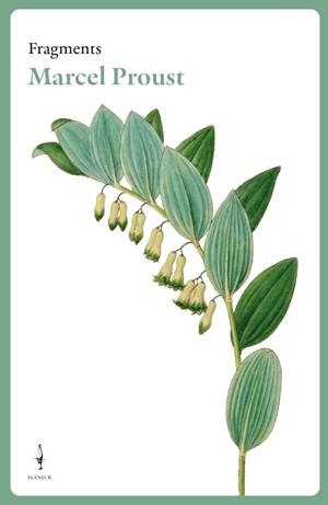 Fragments. Marcel Proust | Proust, Marcel | Cooperativa autogestionària