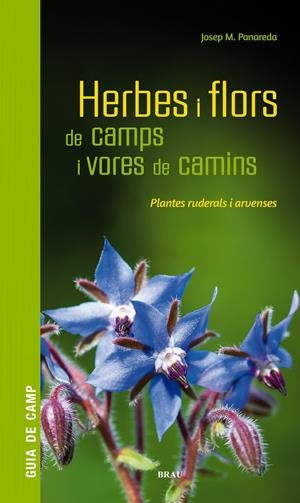 Herbes i flors de camps i vores de camins | Panareda Clopés, Josep M | Cooperativa autogestionària