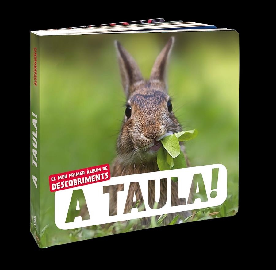 A taula! | Cooperativa autogestionària