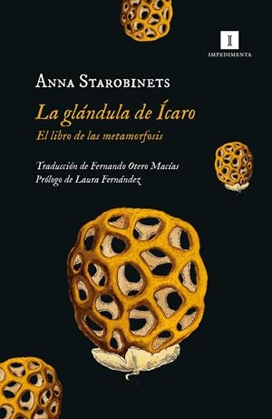 La glándula de Ícaro | Starobinets, Anna | Cooperativa autogestionària