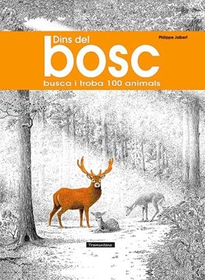 Dins del bosc | Cooperativa autogestionària