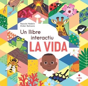 La vida. Un llibre interactiu | Hédelin, Pascale | Cooperativa autogestionària