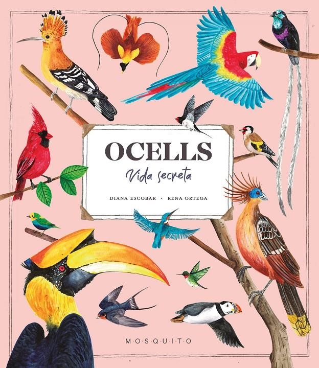 Ocells. Vida Secreta | Esteban, Diana | Cooperativa autogestionària