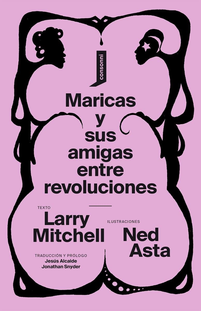Maricas y sus amigas entre revoluciones | Mitchell, Larry