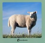 Animales de la granja | Nowordbooks