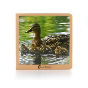 Animales en familia | AA.VV. | Cooperativa autogestionària