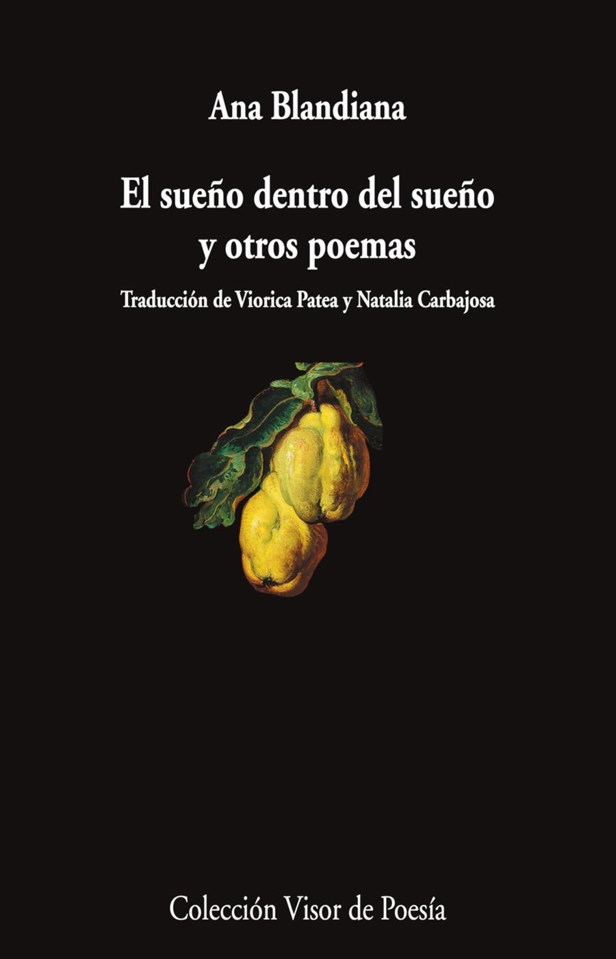 El sueño dentro del sueño y otros poemas | Blandiana, Ana | Cooperativa autogestionària