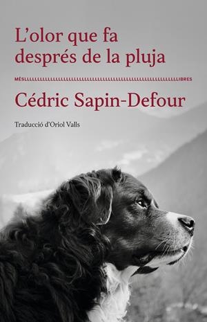 L'olor que fa després de la pluja | Cédric Sapin-Defour | Cooperativa autogestionària