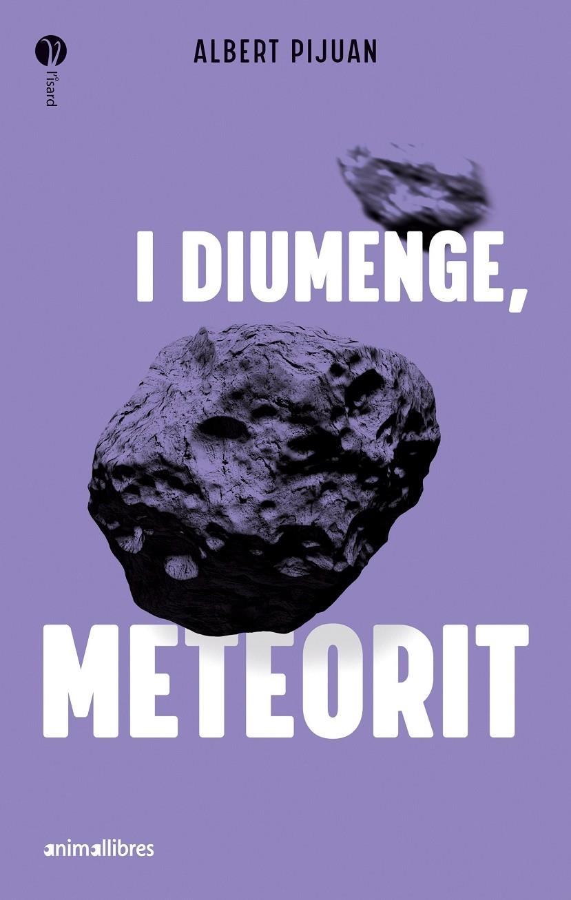I diumenge, meteorit | Pijuan, Albert