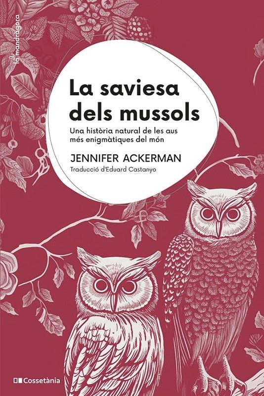 La saviesa dels mussols | Ackerman, Jennifer