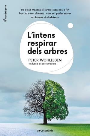L'intens respirar dels arbres | Wohlleben, Peter | Cooperativa autogestionària
