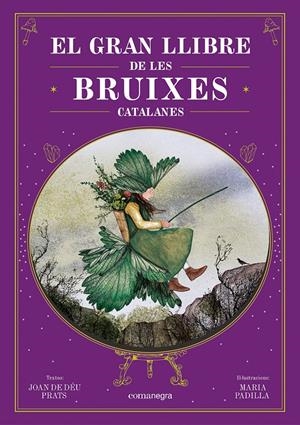 El gran llibre de les bruixes catalanes | Prats, Joan de Déu/Padilla, Maria