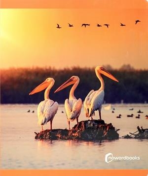 Aves gran formato | NoWordBooks | Cooperativa autogestionària