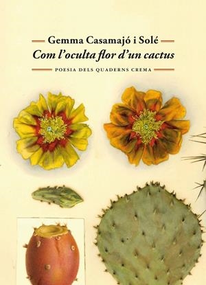 Com l'oculta flor d'un cactus | Casamajó i Solé, Gemma | Cooperativa autogestionària