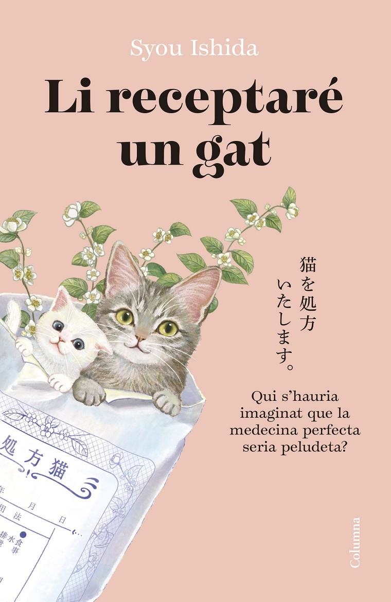 Li receptaré un gat | Ishida, Syou