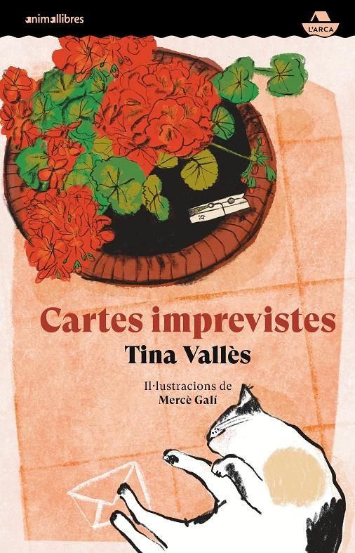 Cartes imprevistes | Tina Vallès