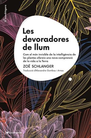 Les devoradores de llum | Schlanger, Zoë | Cooperativa autogestionària