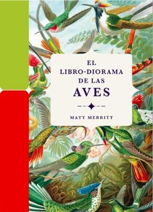 El libro-diorama de las aves | Merritt, Matt