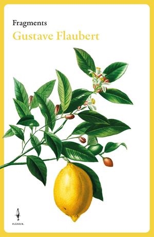 Fragments Gustave Flaubert | Flaubert, Gustave