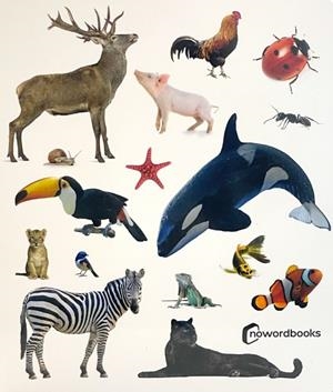 Animales! | Cooperativa autogestionària