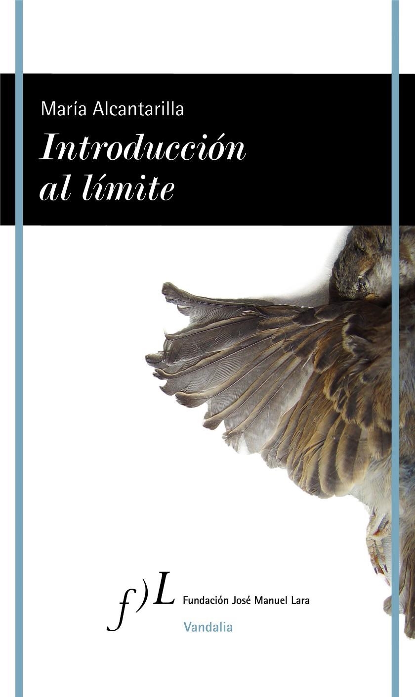 Introducción al límite | Alcantarilla, María | Cooperativa autogestionària