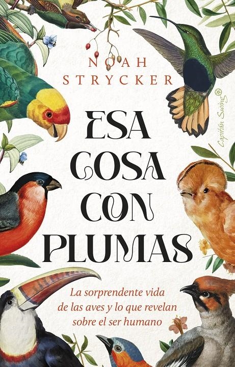 Esa cosa con plumas | Stryck, Noah Keefer