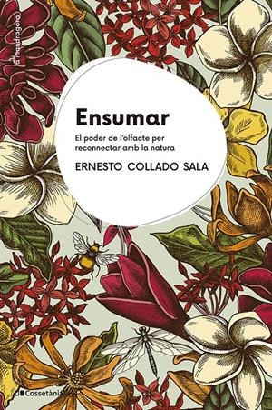 Ensumar | Collado Sala, Ernesto