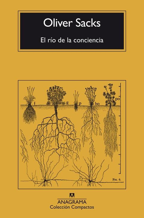 El río de la conciencia | Oliver Sacks | Cooperativa autogestionària