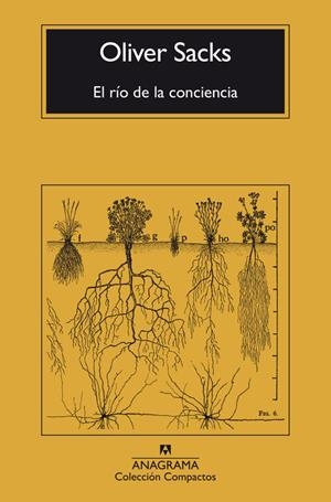El río de la conciencia | Oliver Sacks | Cooperativa autogestionària