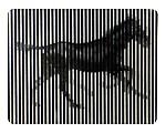 Al Galop! | Rufus Butler Seder  | Cooperativa autogestionària