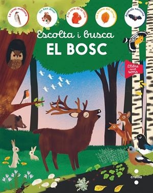 Escolta i busca. El bosc | Cooperativa autogestionària