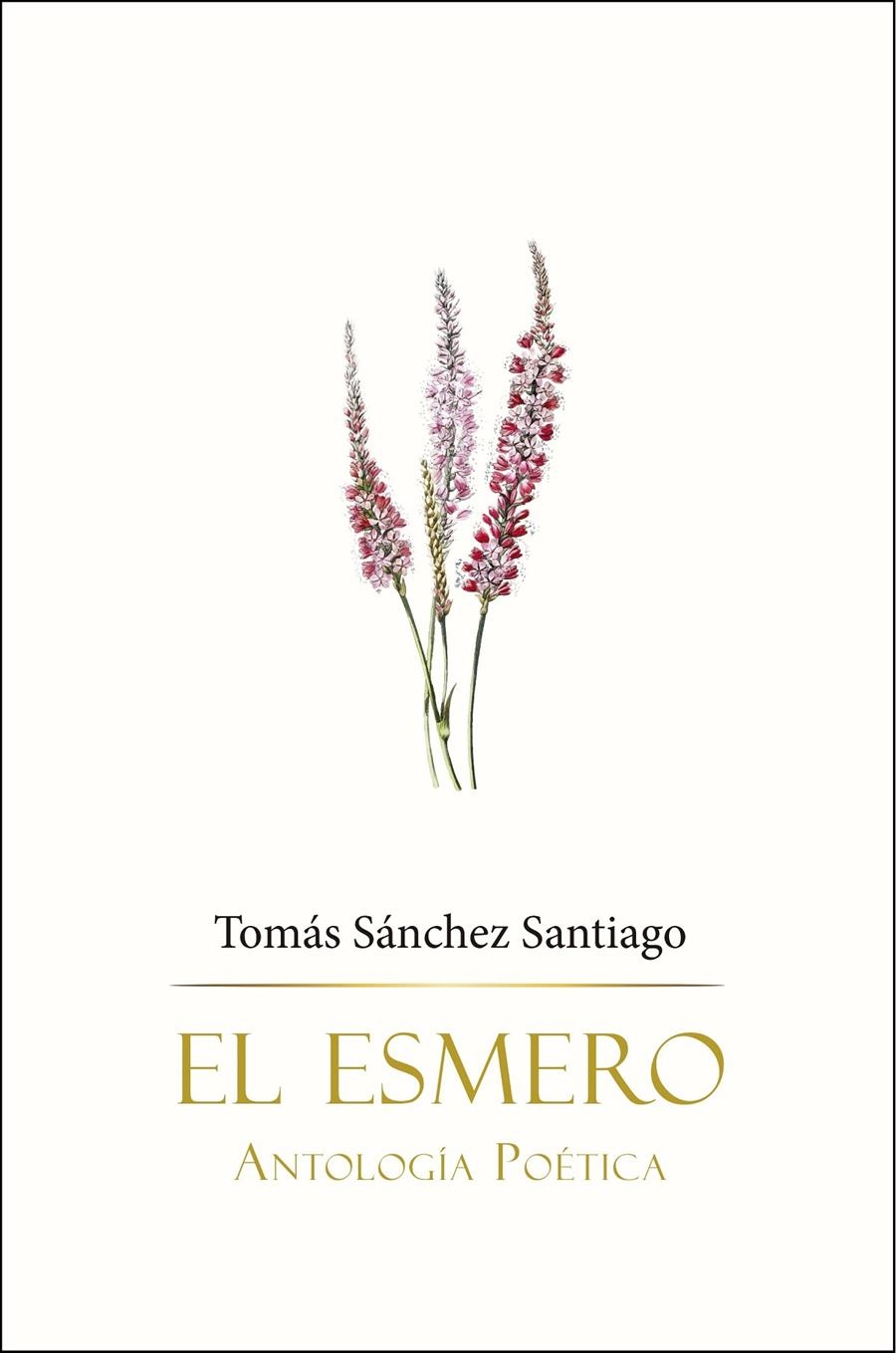 El esmero | Sánchez Santiago, Tomás | Cooperativa autogestionària