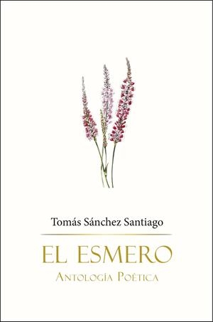 El esmero | Sánchez Santiago, Tomás