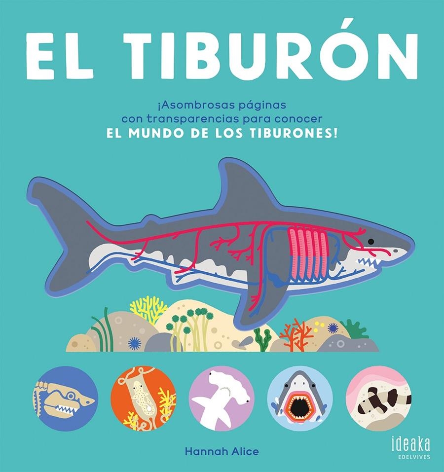 El tiburón | Hannah Alice | Cooperativa autogestionària