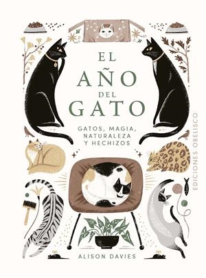 El año del gato | Davies, Alison | Cooperativa autogestionària