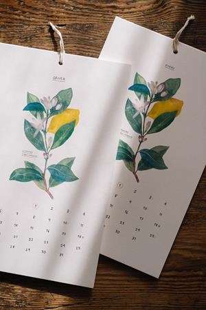 2026 Calendari Botànic. Gala Pont | Pont Paradía, Gala | Cooperativa autogestionària