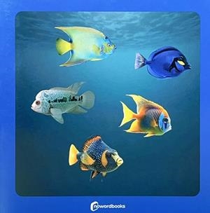 Dónde estan los peces | Cooperativa autogestionària