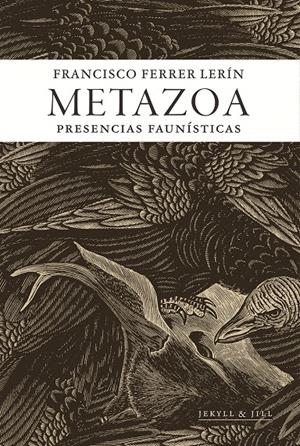 Metazoa | Ferrer Lerin, Francisco