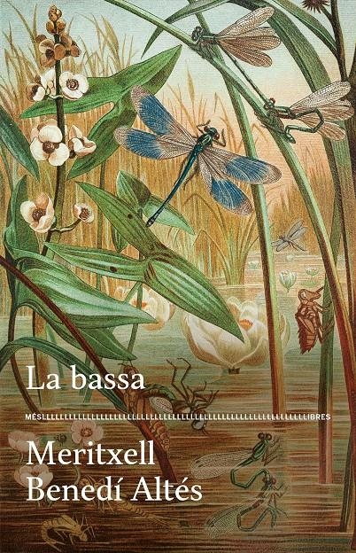 La bassa | Benedí, Meritxell