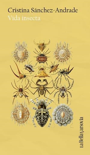 Vida insecta | Sánchez-Andrade, Cristina | Cooperativa autogestionària