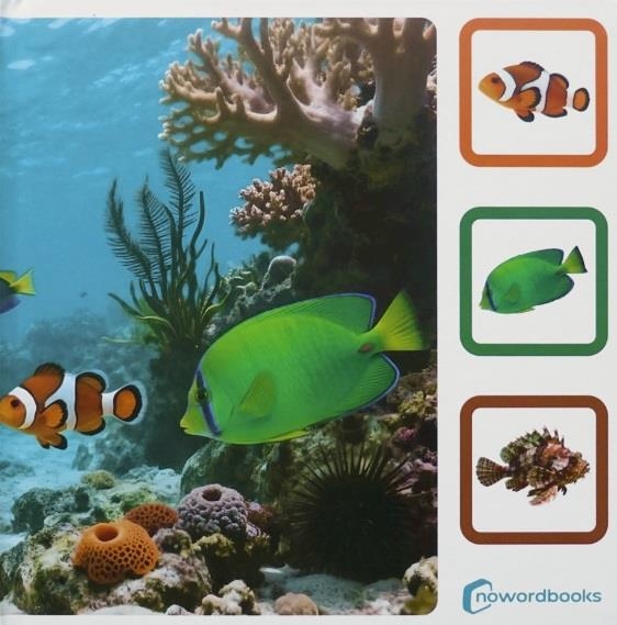 Encuéntrame en el mar | NoWordBooks